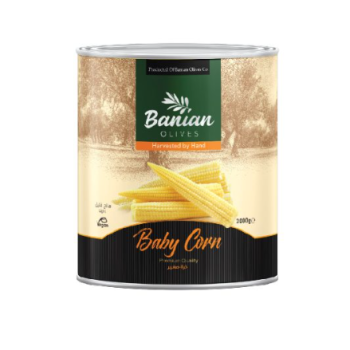 بی بی کرن بانیان 3 کیلوگرمی