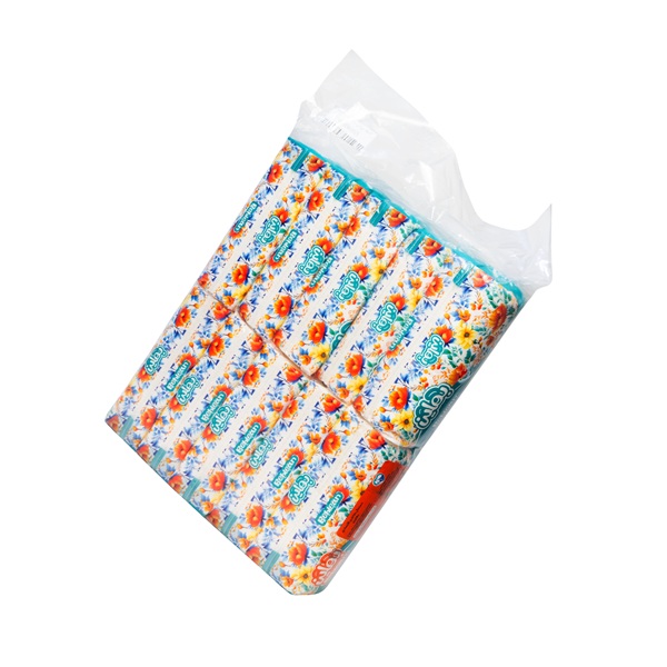 دستمال کاغذی 200 برگ بهلین بسته 10 عددی خرید دستمال کاغذی 200 برگ بهلین بسته 10 عددی در اصفهان