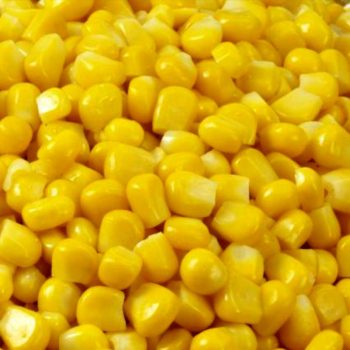 ذرت بارلی 10 کیلویی فله یارافود