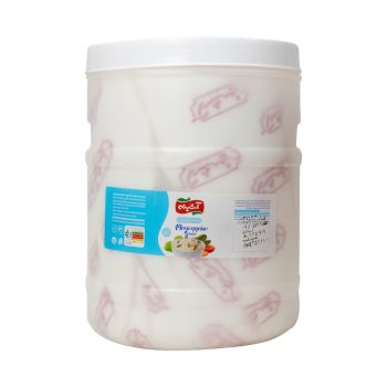 سس مایونز کم چرب آشینه دبه