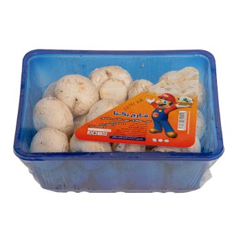 قارچ یکتا 400 گرمی
