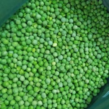 خرید نخود فرنگی منجمد سردانه 10 کیلویی