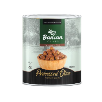 زیتون پرورده بانیان ۳ کیلوگرمی